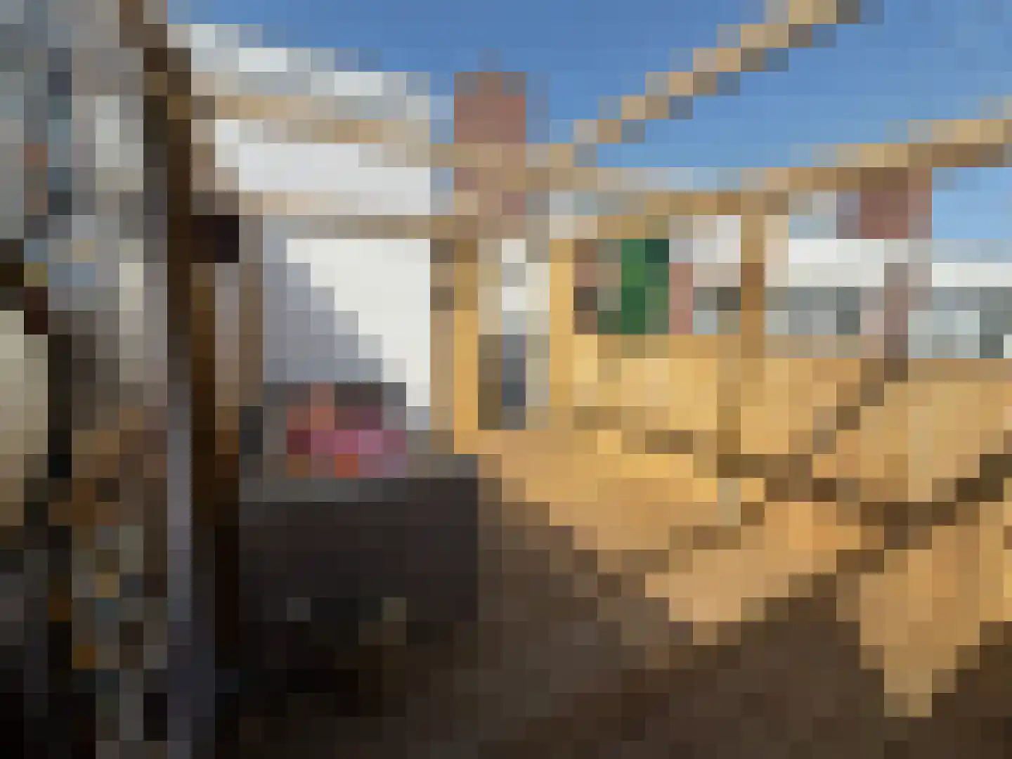 Diaconiehuisstraat 36 Zandvoort thumbnail 18