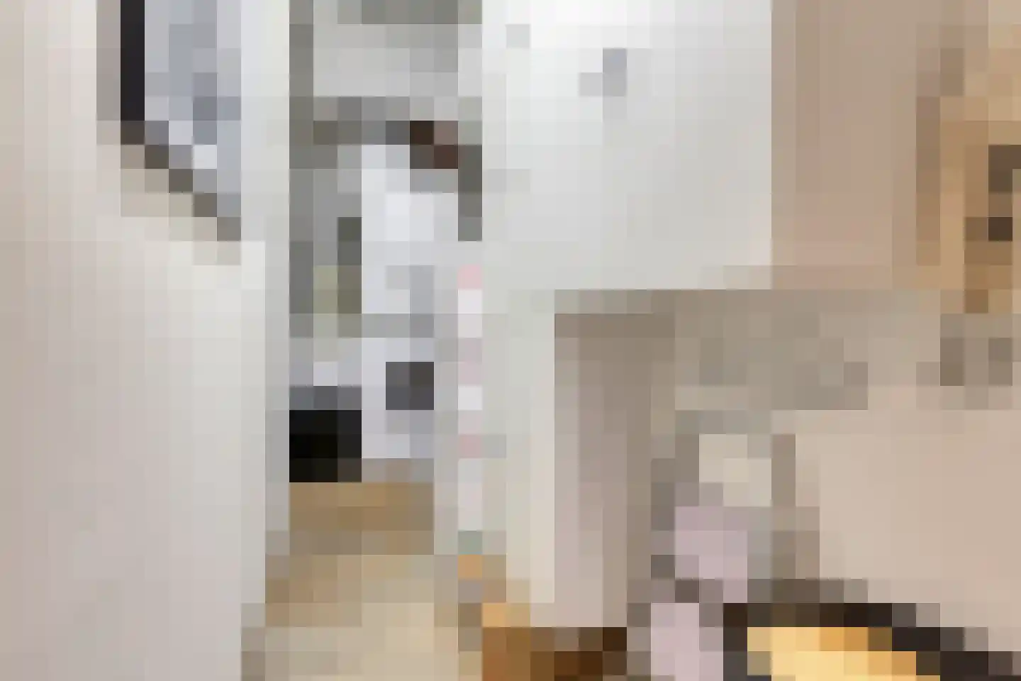 Diaconiehuisstraat 36 Zandvoort thumbnail 22