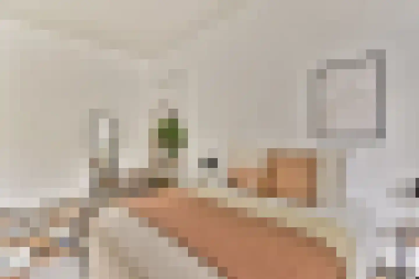 Diaconiehuisstraat 36 Zandvoort thumbnail 25