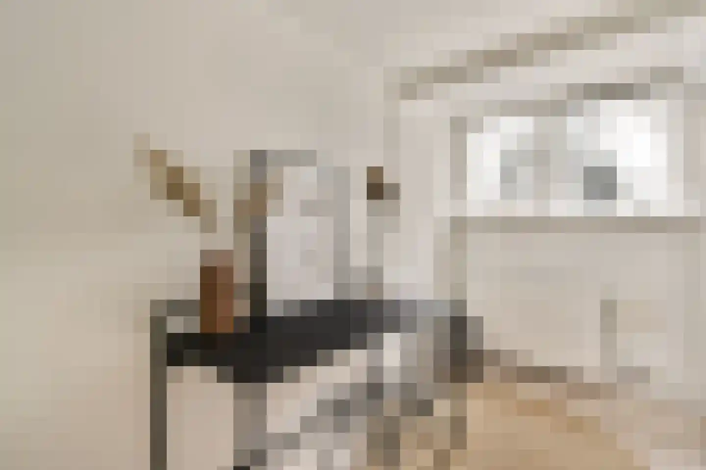 Diaconiehuisstraat 36 Zandvoort thumbnail 28