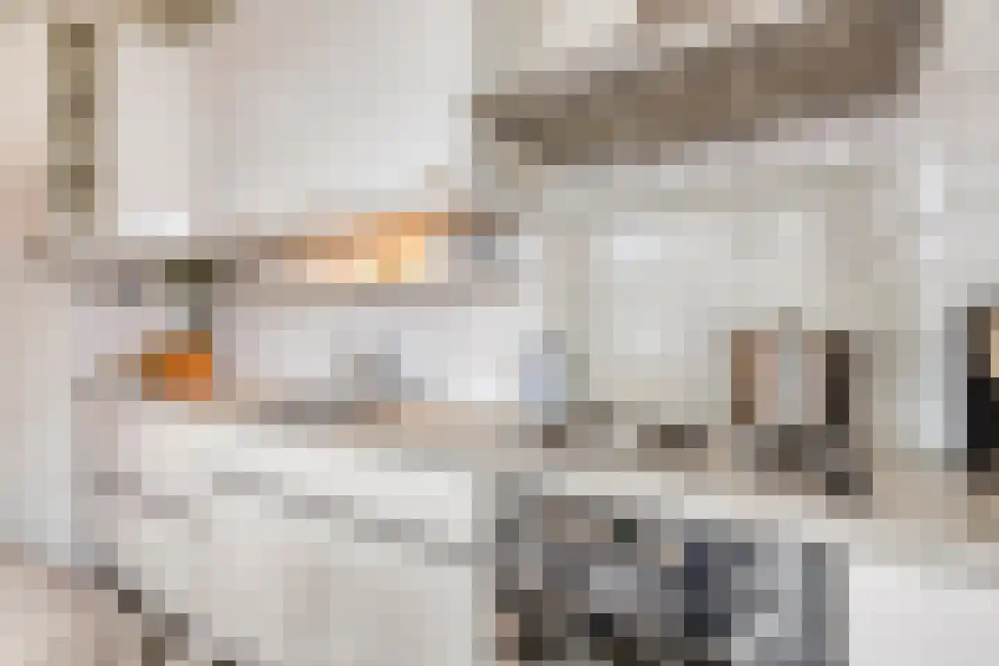 Diaconiehuisstraat 36 Zandvoort thumbnail 6