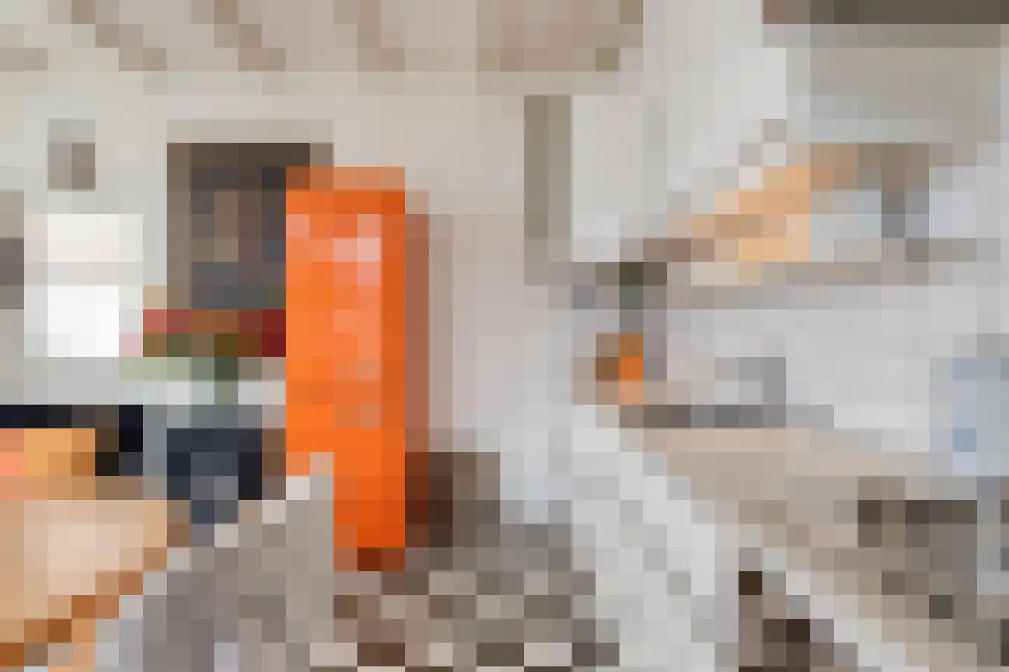 Diaconiehuisstraat 36 Zandvoort thumbnail 9