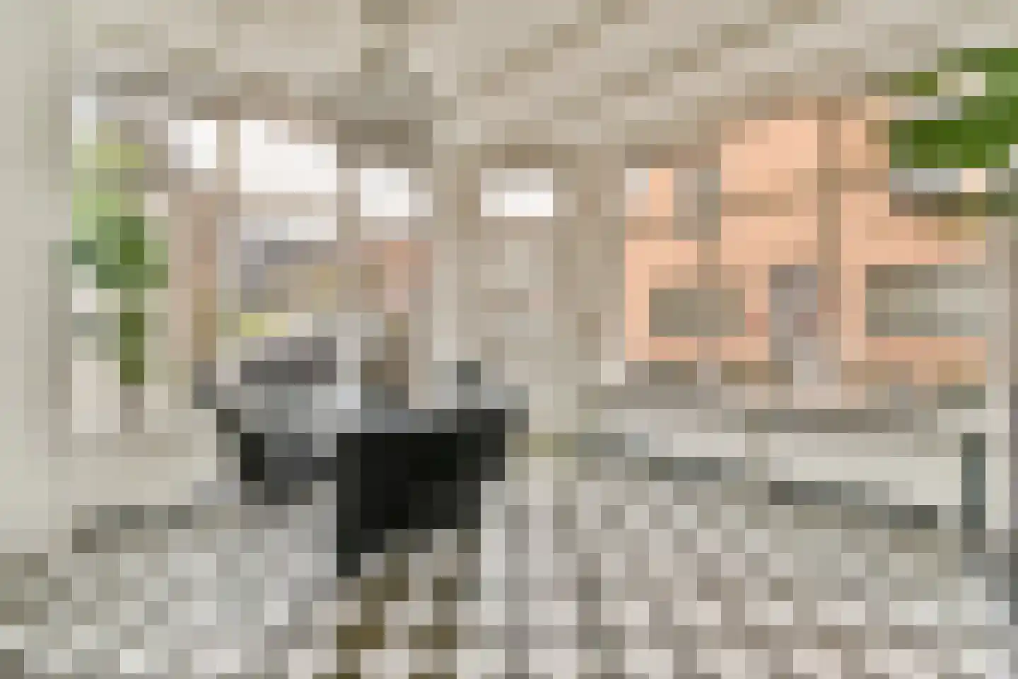 Diaconiehuisstraat 36 Zandvoort thumbnail 9