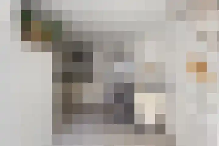Diaconiestraat 18 Den Helder thumbnail 18