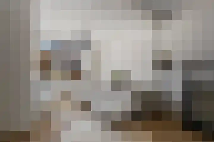 Diaconiestraat 18 Den Helder thumbnail 7