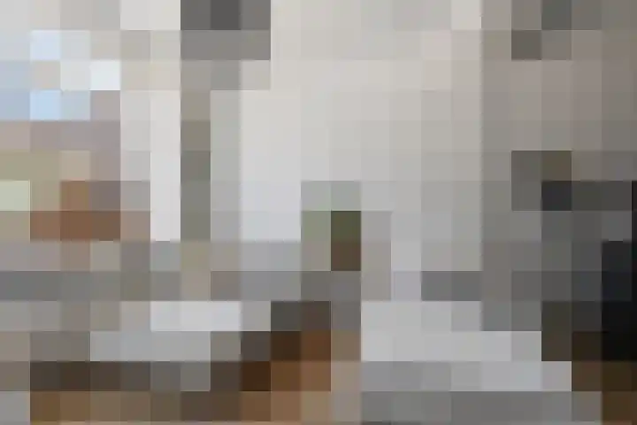 Diaconiestraat 18 Den Helder thumbnail 9