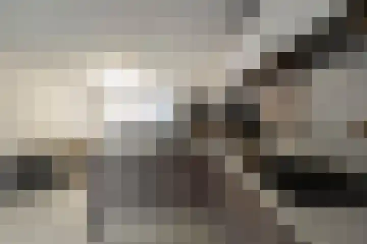 Diaconiestraat 27 Den Helder thumbnail 12