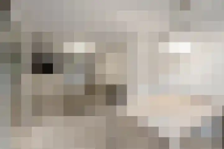 Diaconiestraat 27 Den Helder thumbnail 6