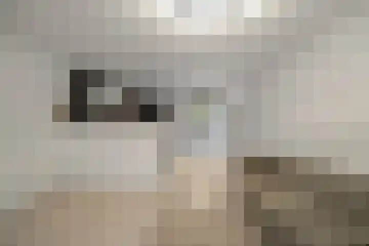 Diaconiestraat 27 Den Helder thumbnail 8