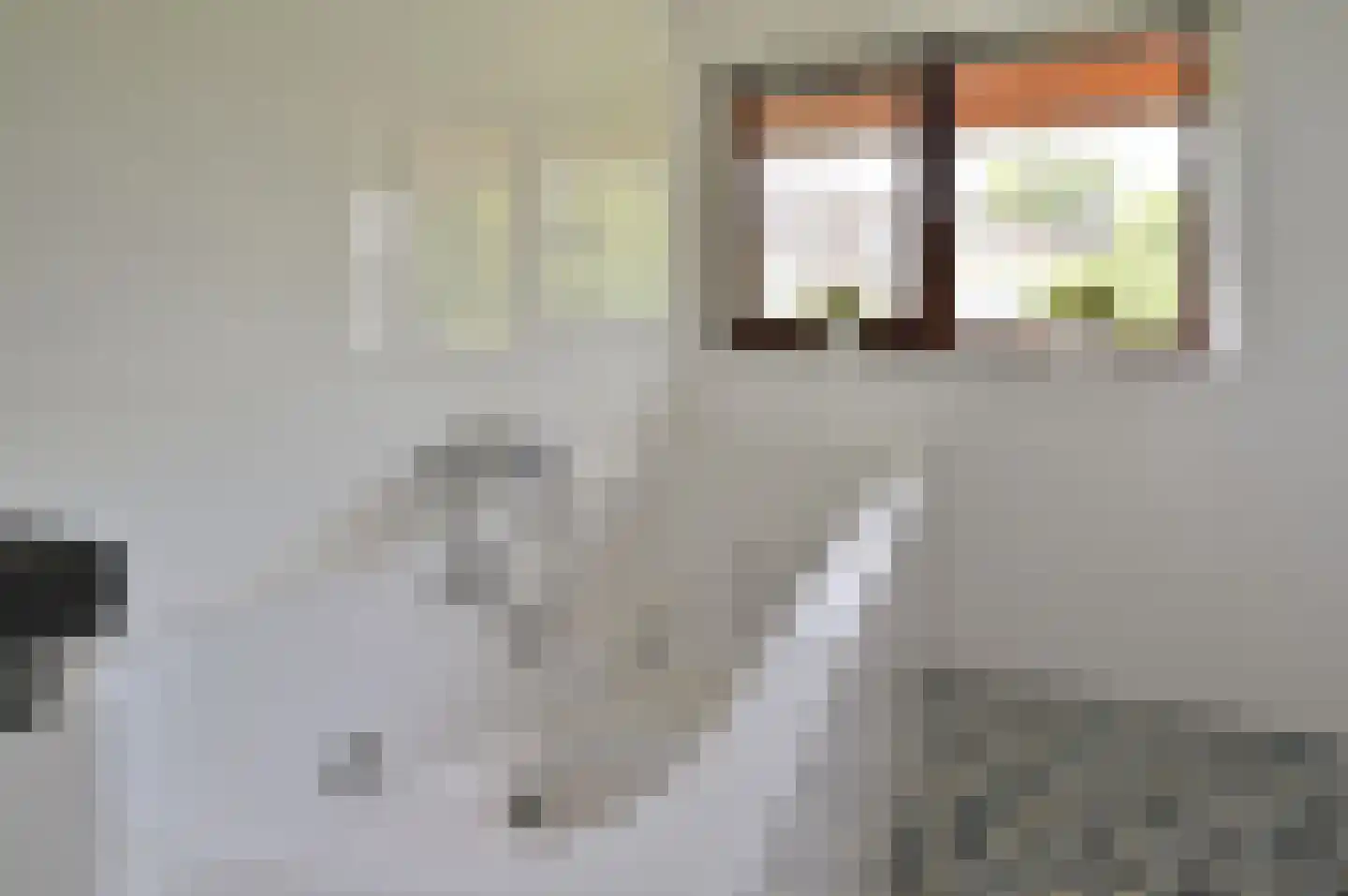Diadeemstraat 109 Almere thumbnail 22