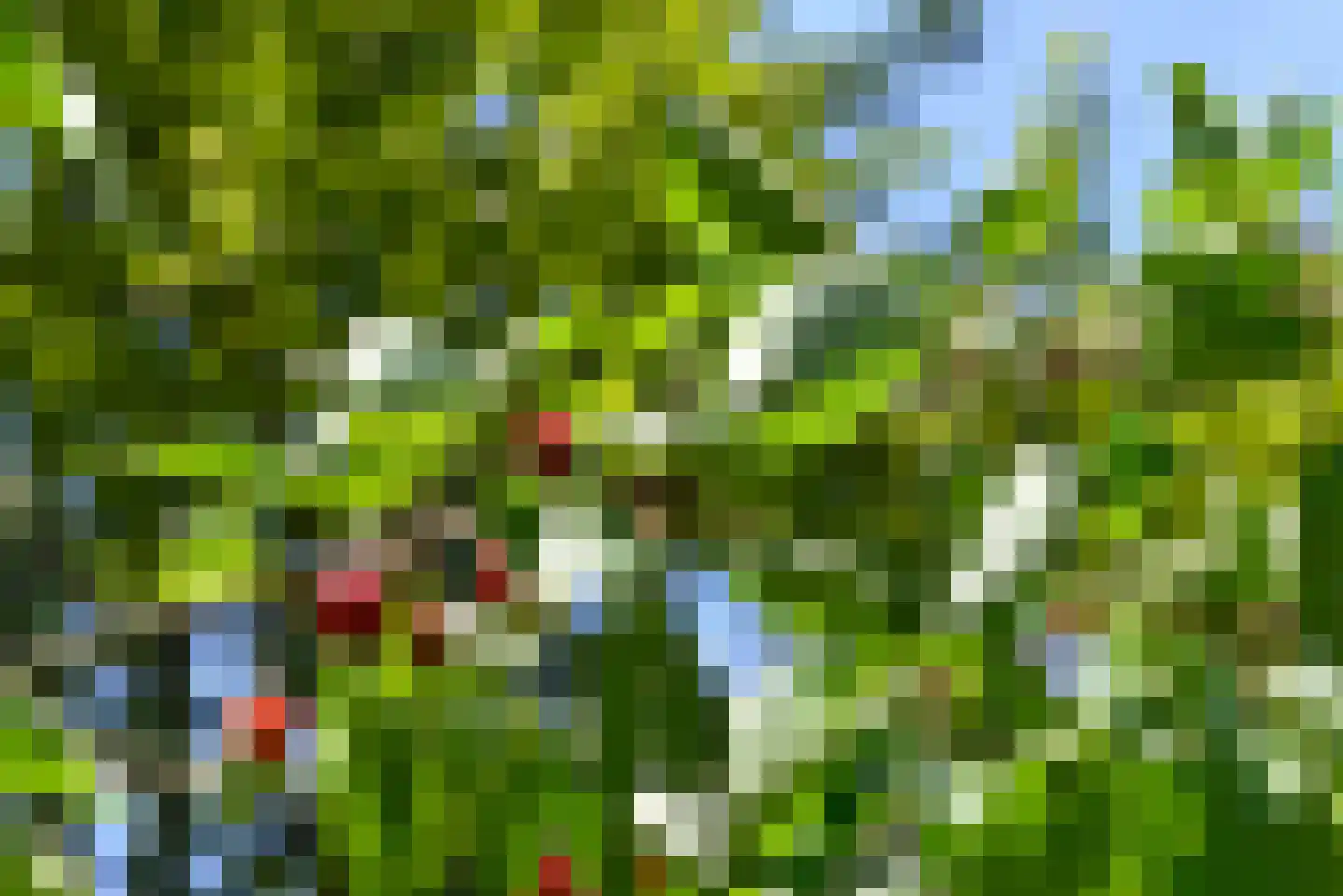 Diadeemstraat 109 Almere thumbnail 36