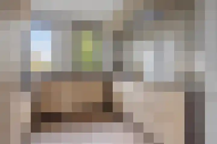 Diadeemstraat 53 Almere thumbnail 13
