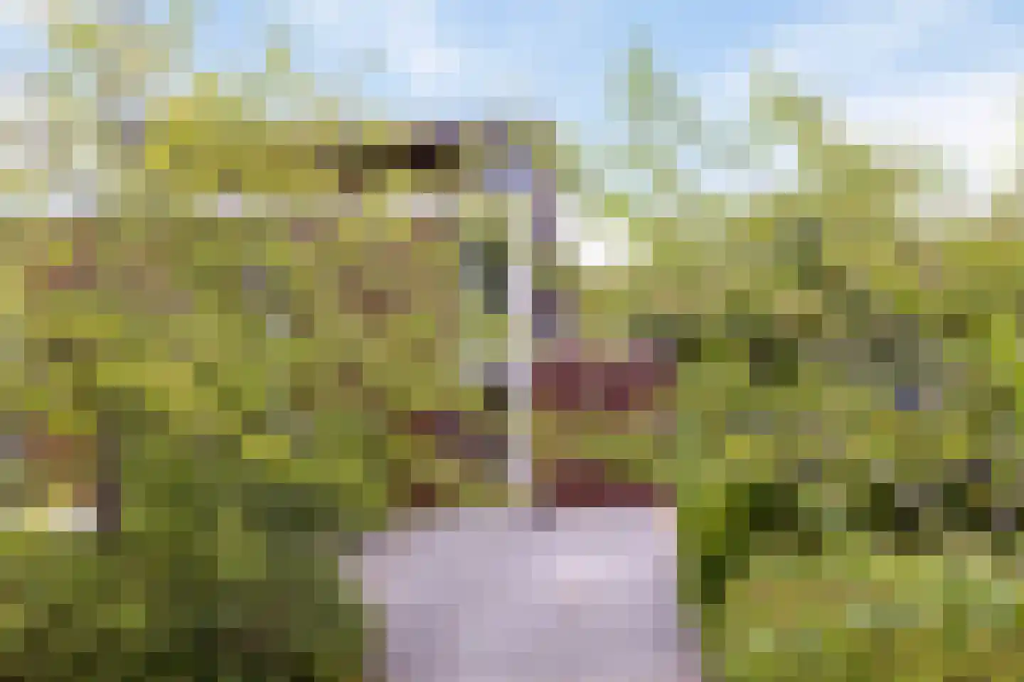 Diadeemstraat 74 Almere thumbnail 7