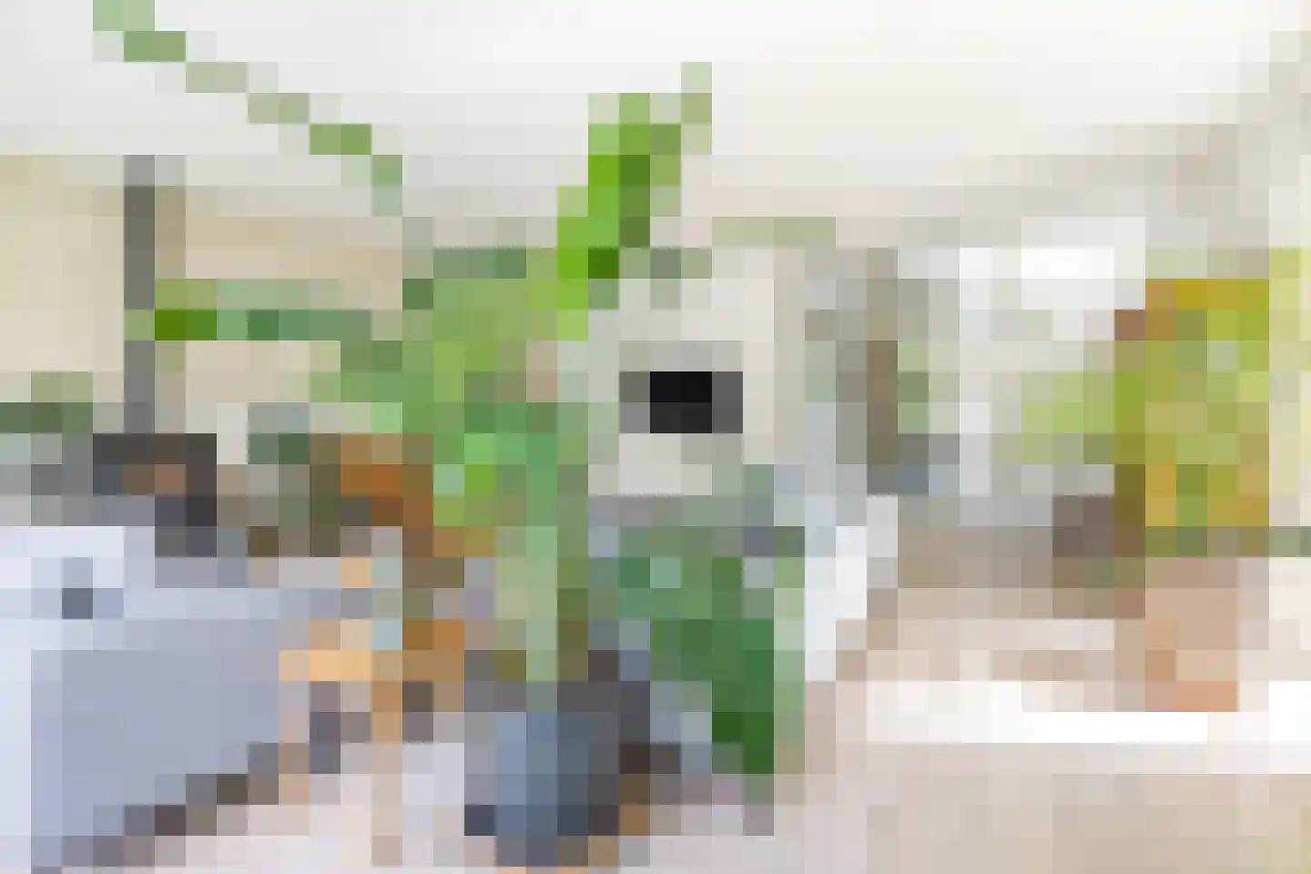 Diadeemstraat 75 Almere thumbnail 13