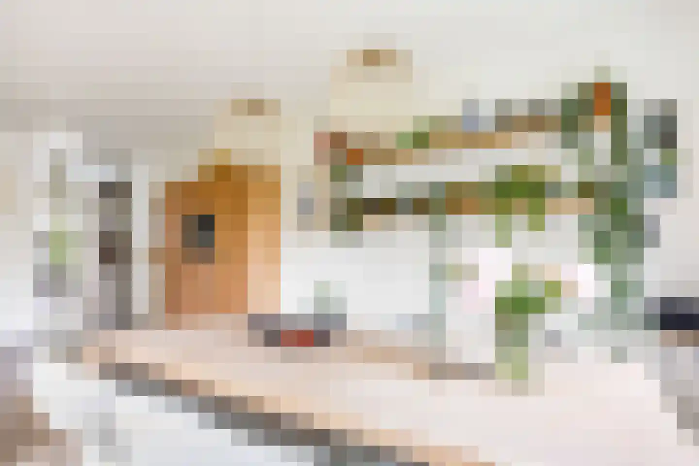 Diadeemstraat 75 Almere thumbnail 15