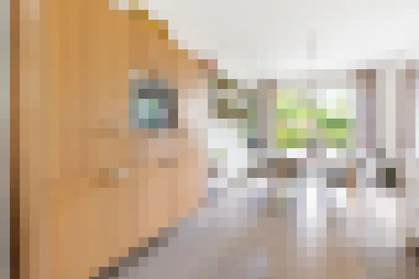 Diadeemstraat 75 Almere thumbnail 19