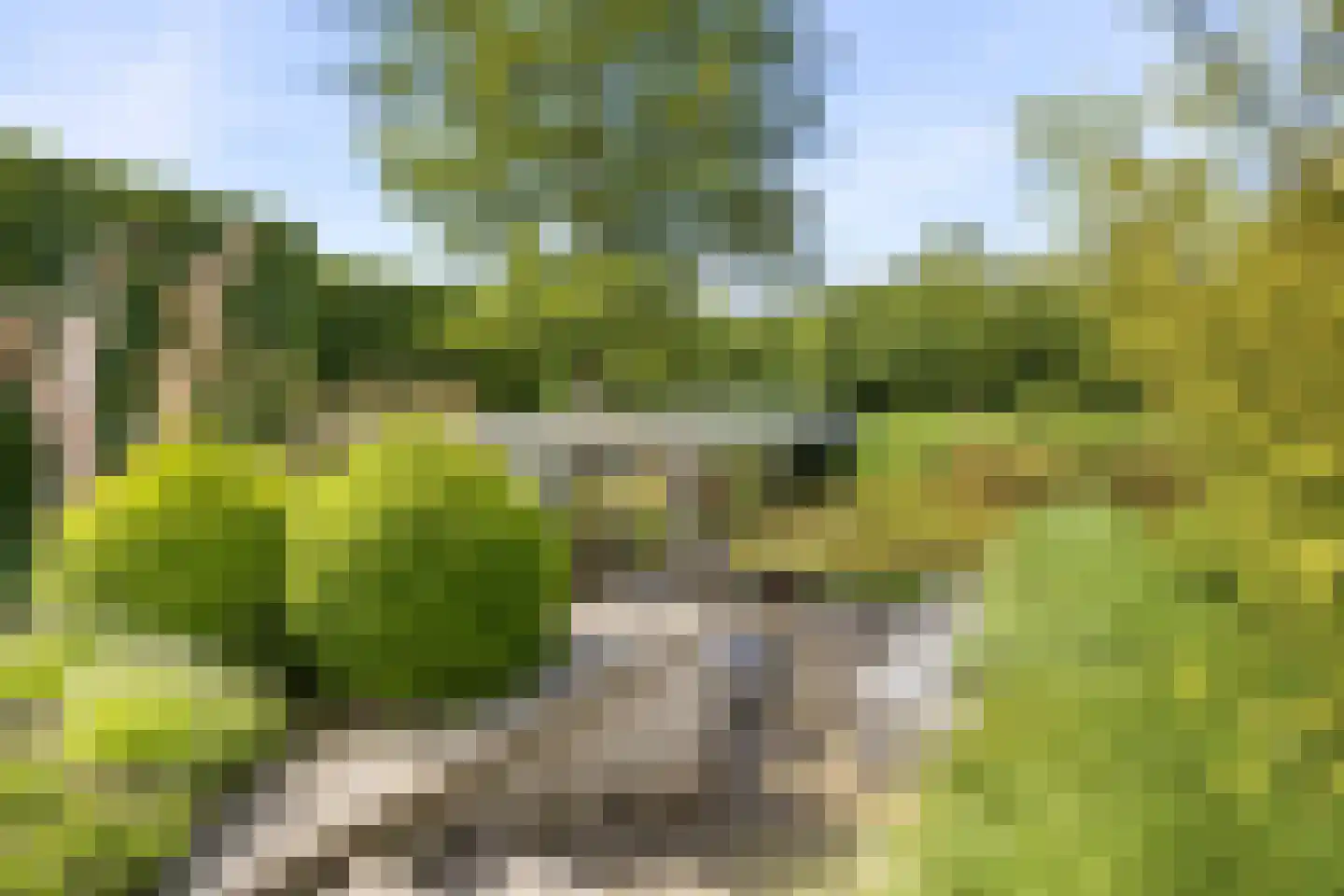 Diadeemstraat 75 Almere thumbnail 38