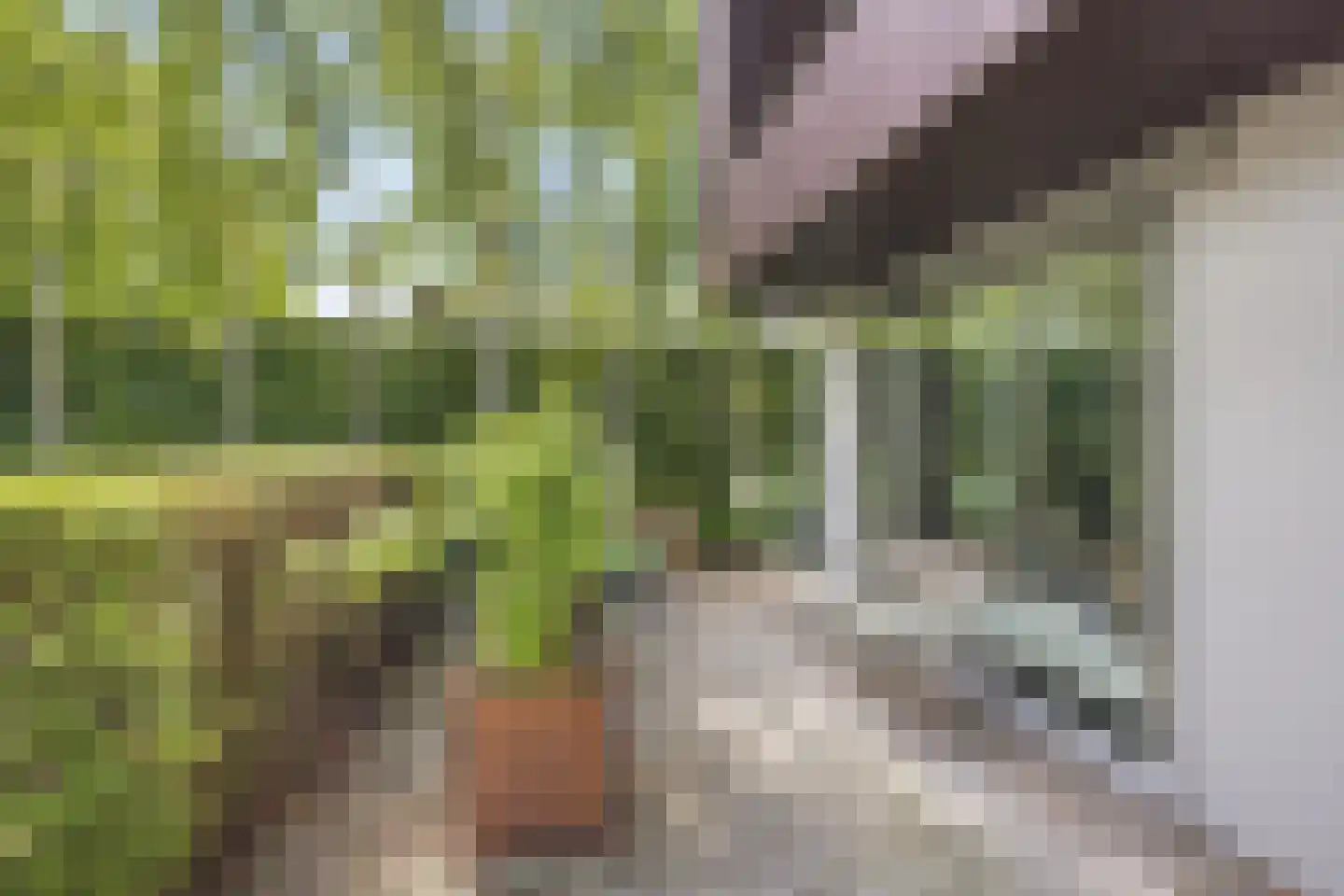 Diadeemstraat 75 Almere thumbnail 8