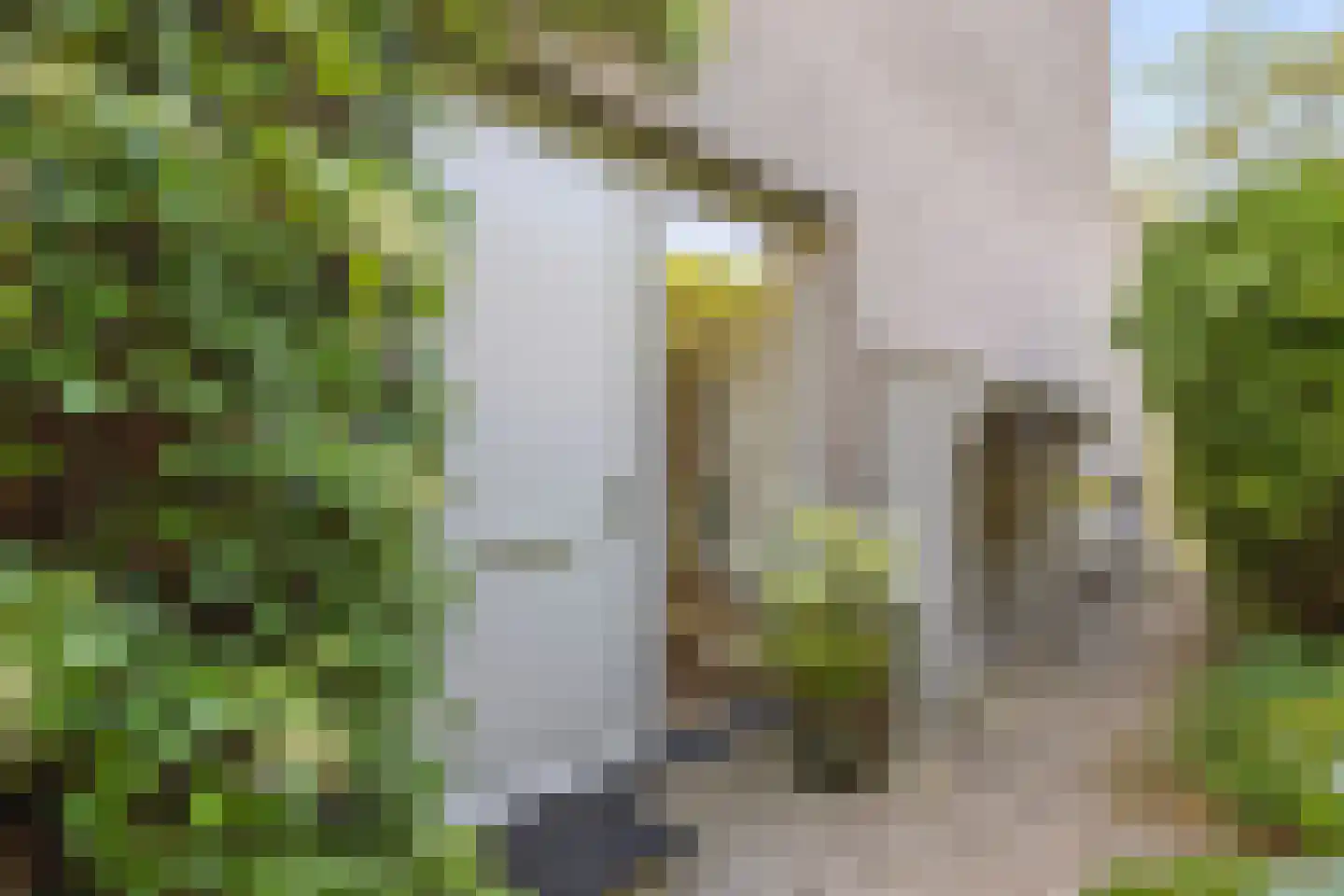 Diadeemstraat 75 Almere thumbnail 9