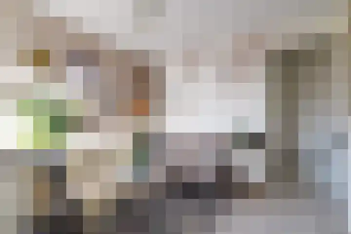 Diadeemstraat 94 Almere thumbnail 33