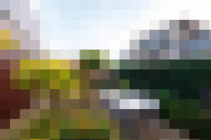 Diadeemstraat 94 Almere thumbnail 35