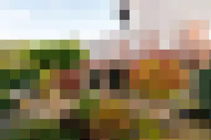 Diadeemstraat 94 Almere thumbnail 38