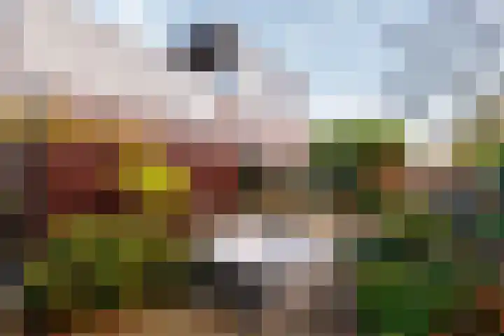 Diadeemstraat 94 Almere thumbnail 4