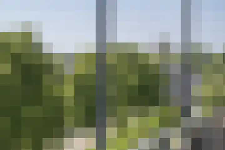 Diakenhuisweg 133 Haarlem thumbnail 24