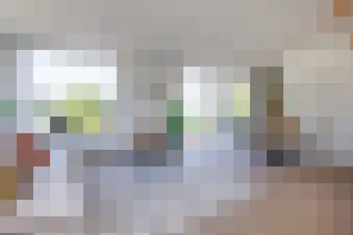 Diakenhuisweg 65 Haarlem thumbnail 13