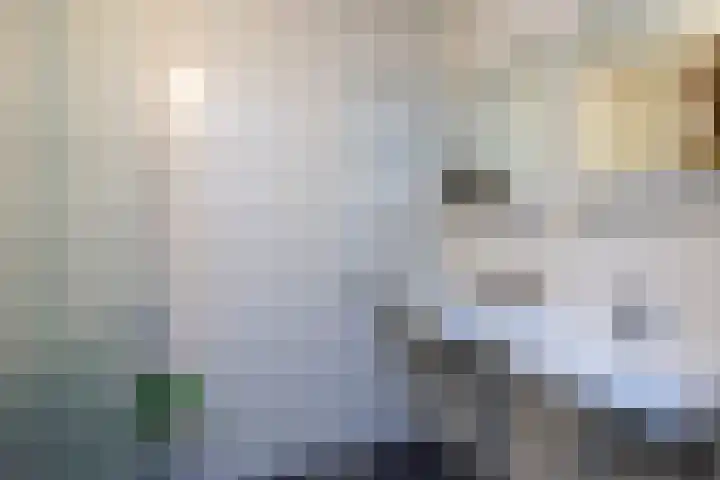 Diakenhuisweg 65 Haarlem thumbnail 9