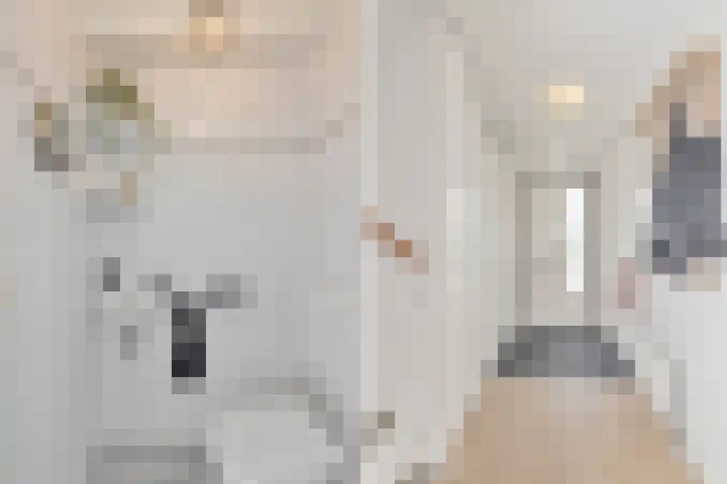 Diamant 10 Anna Paulowna thumbnail 10