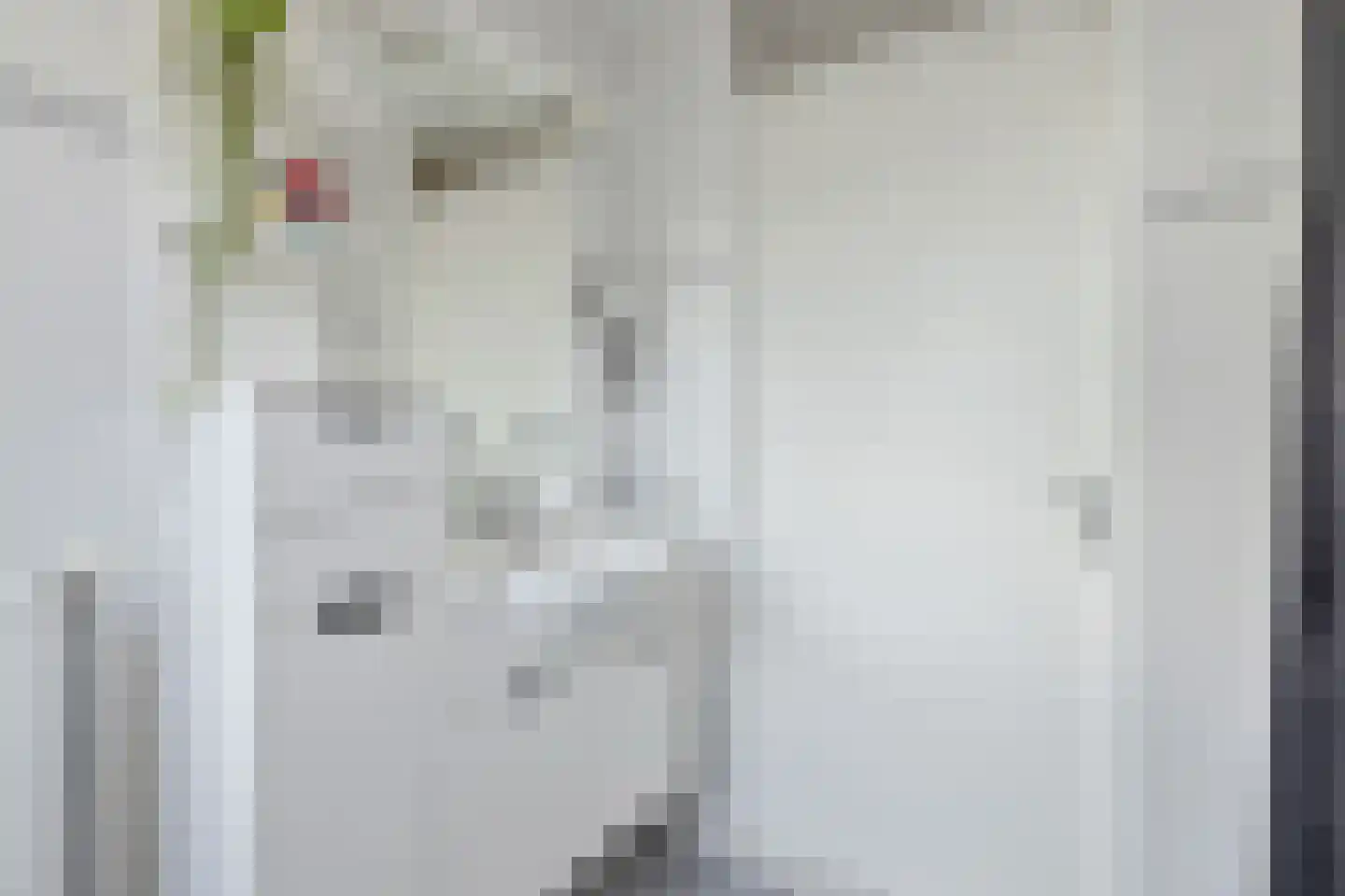 Diamant 10 Anna Paulowna thumbnail 20