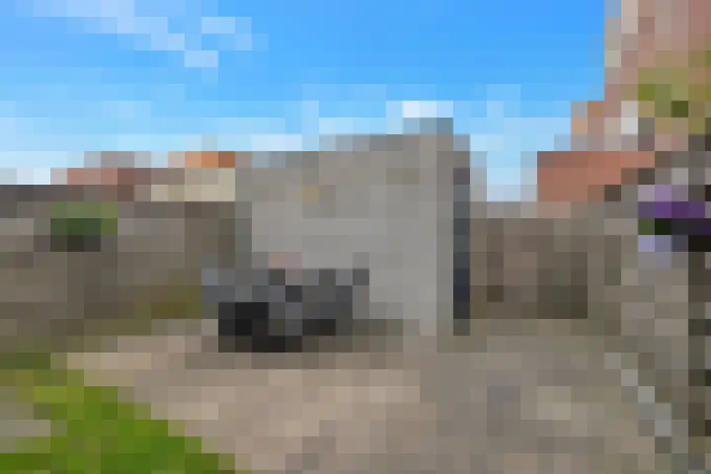 Diamant 10 Anna Paulowna thumbnail 29