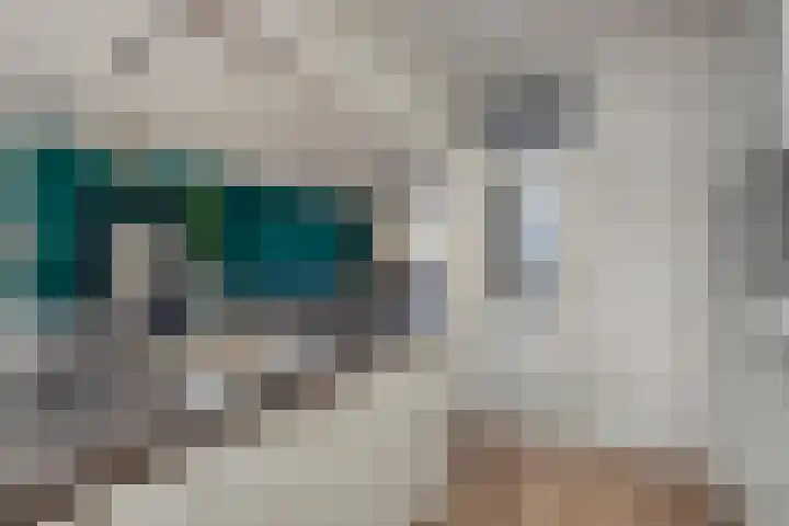 Diamant 13 's-Hertogenbosch thumbnail 10