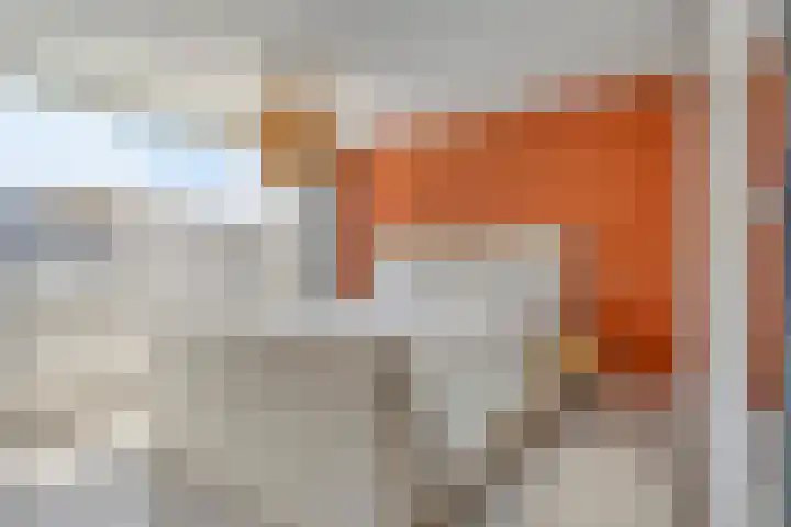 Diamant 13 's-Hertogenbosch thumbnail 13