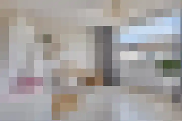 Diamant 13 's-Hertogenbosch thumbnail 15