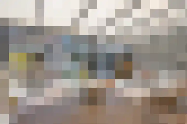 Diamant 13 's-Hertogenbosch thumbnail 4