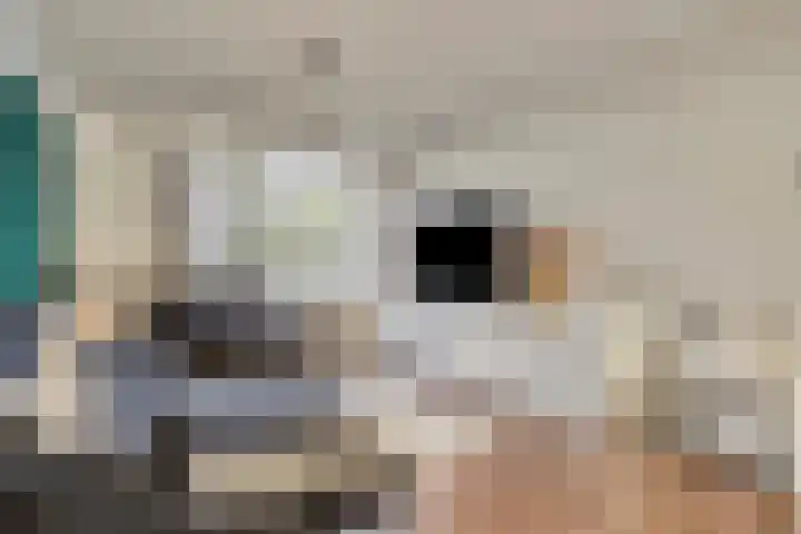 Diamant 13 's-Hertogenbosch thumbnail 6