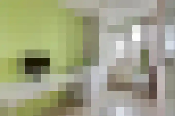 Diamant 15 's-Gravenzande thumbnail 12