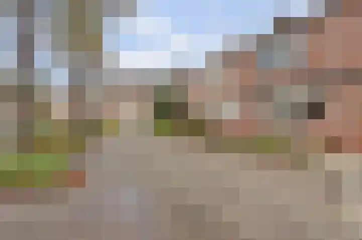 Diamant 15 's-Gravenzande thumbnail 23