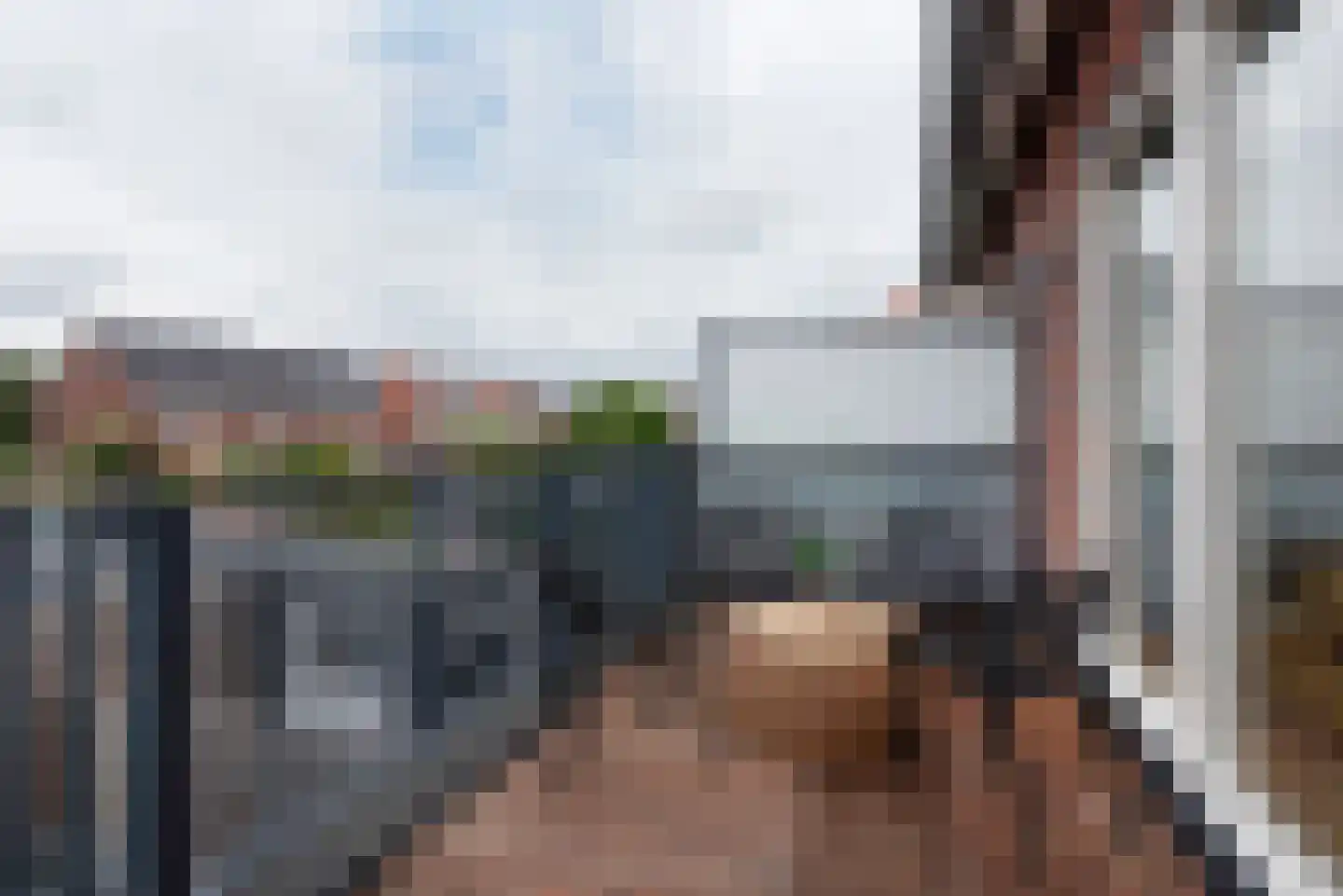Diamant 16 Roelofarendsveen thumbnail 10
