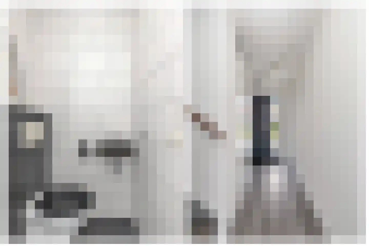 Diamant 2 Anna Paulowna thumbnail 8