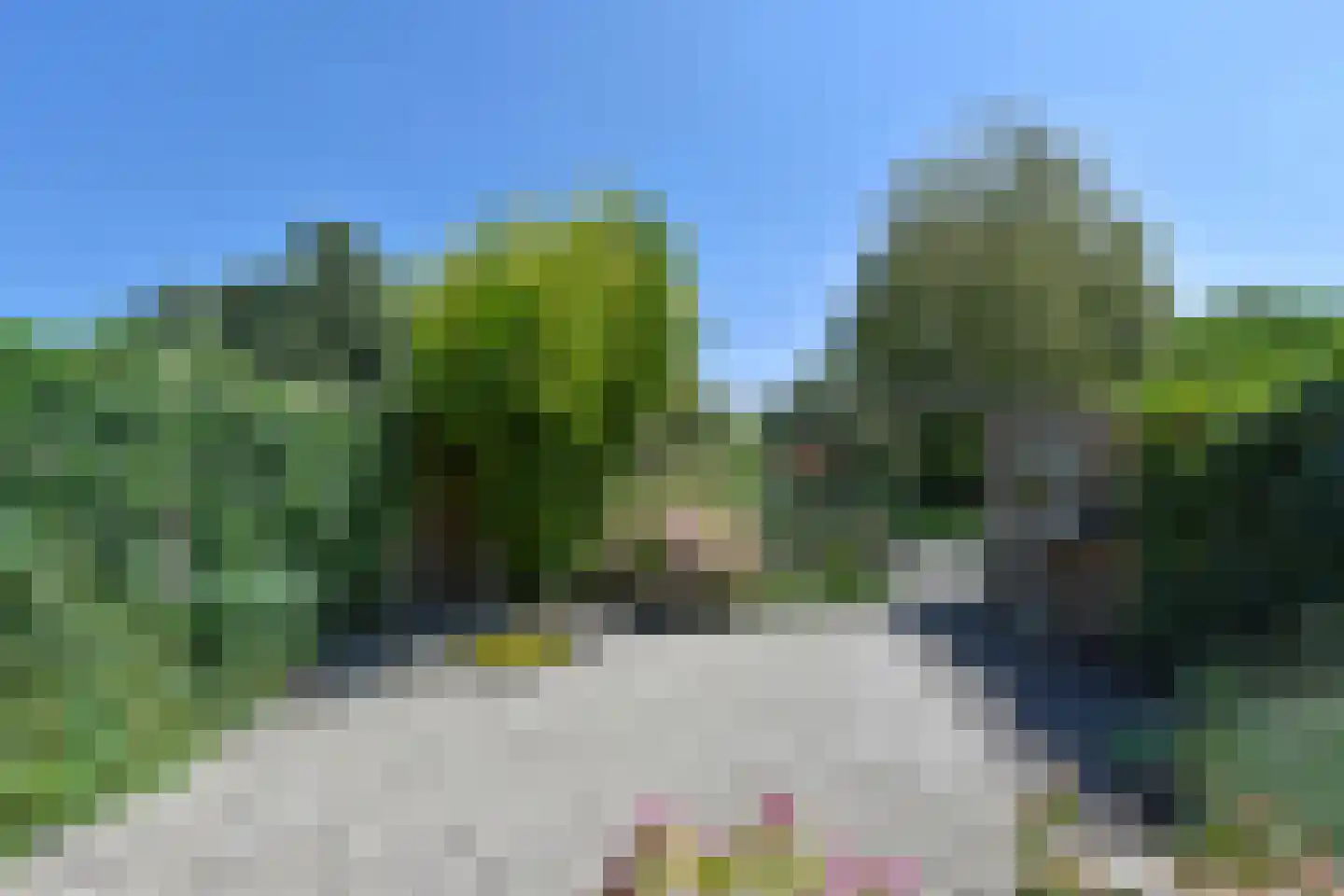 Diamant 20 Mijdrecht thumbnail 13