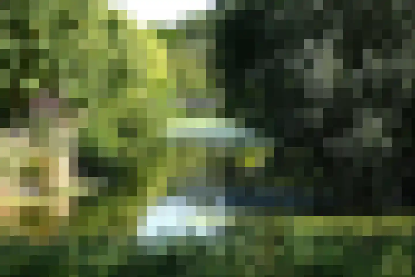 Diamant 20 Mijdrecht thumbnail 16