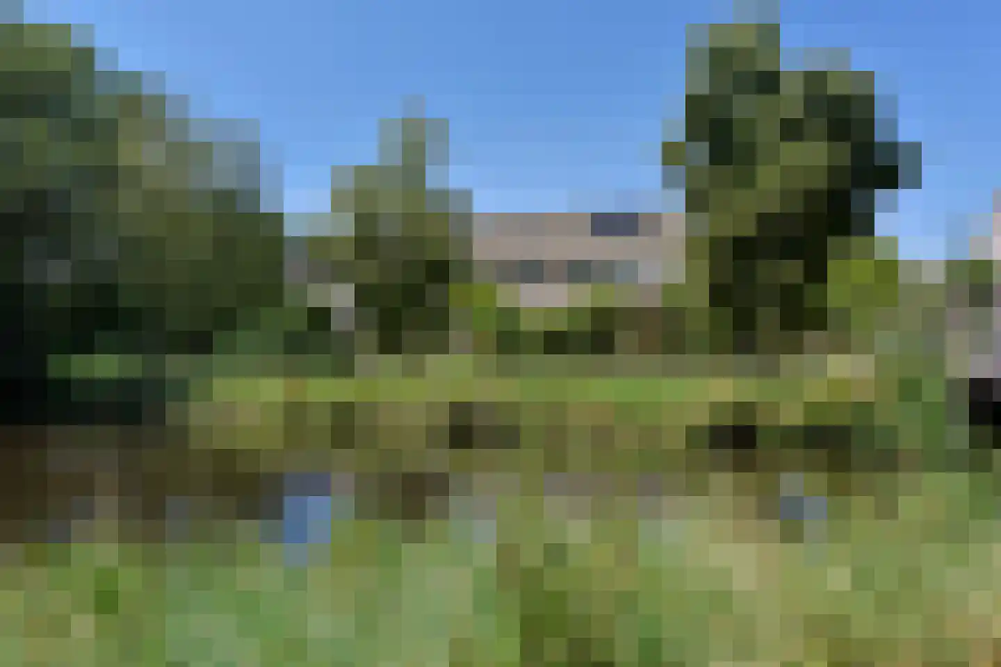 Diamant 20 Mijdrecht thumbnail 20