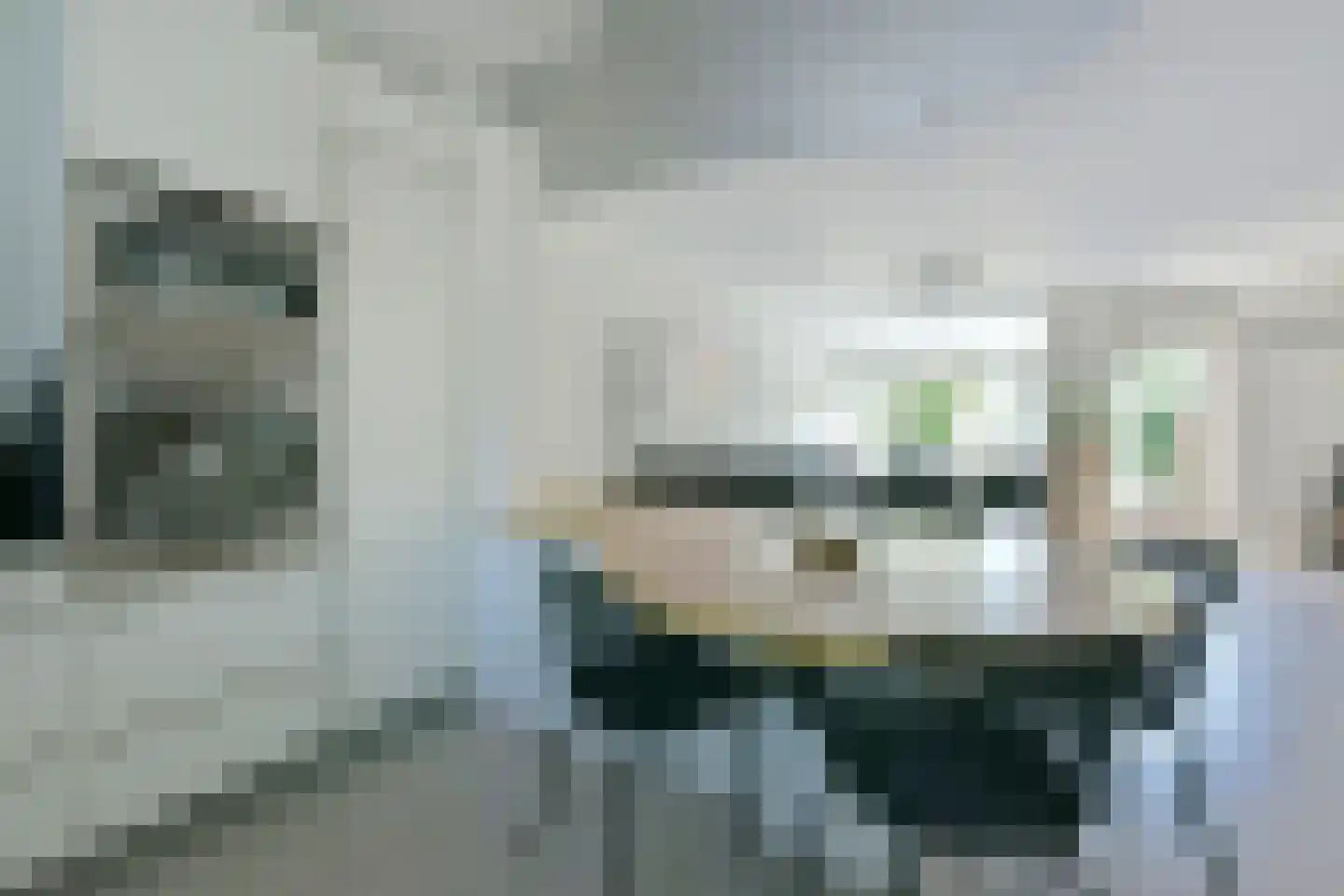 Diamant 20 Mijdrecht thumbnail 6