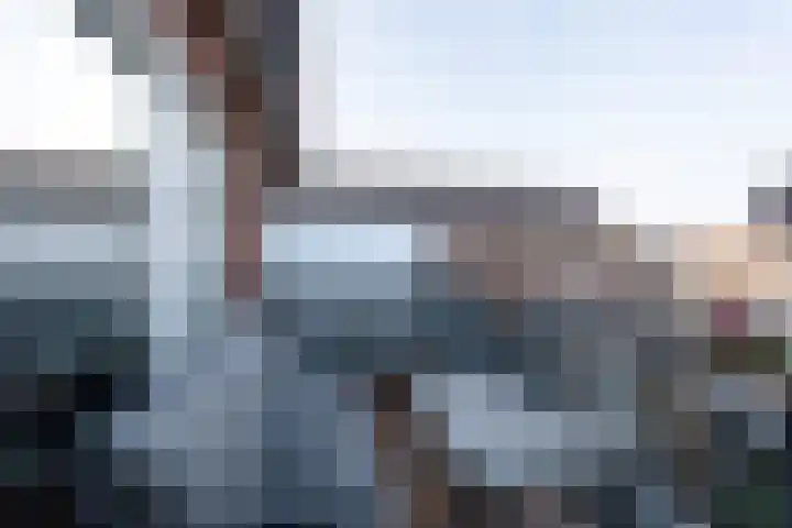 Diamant 20 Roelofarendsveen thumbnail 11