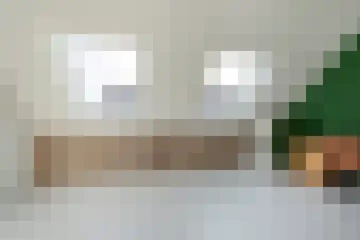 Diamant 20 Roelofarendsveen thumbnail 13