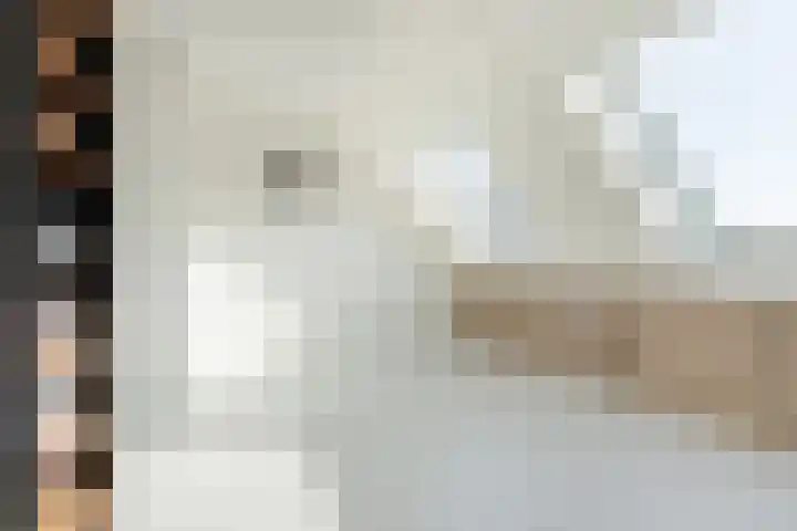 Diamant 20 Roelofarendsveen thumbnail 15