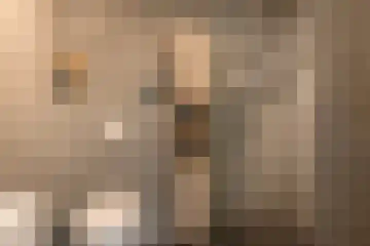 Diamant 20 Roelofarendsveen thumbnail 17
